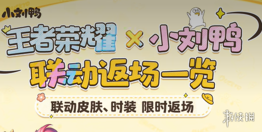 网1